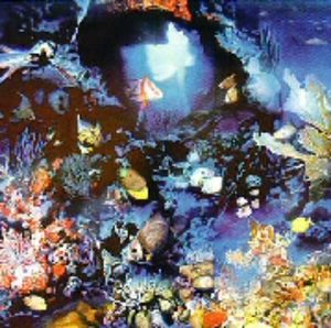 Aquatic Realm - 10 Limited Edition Lithographs